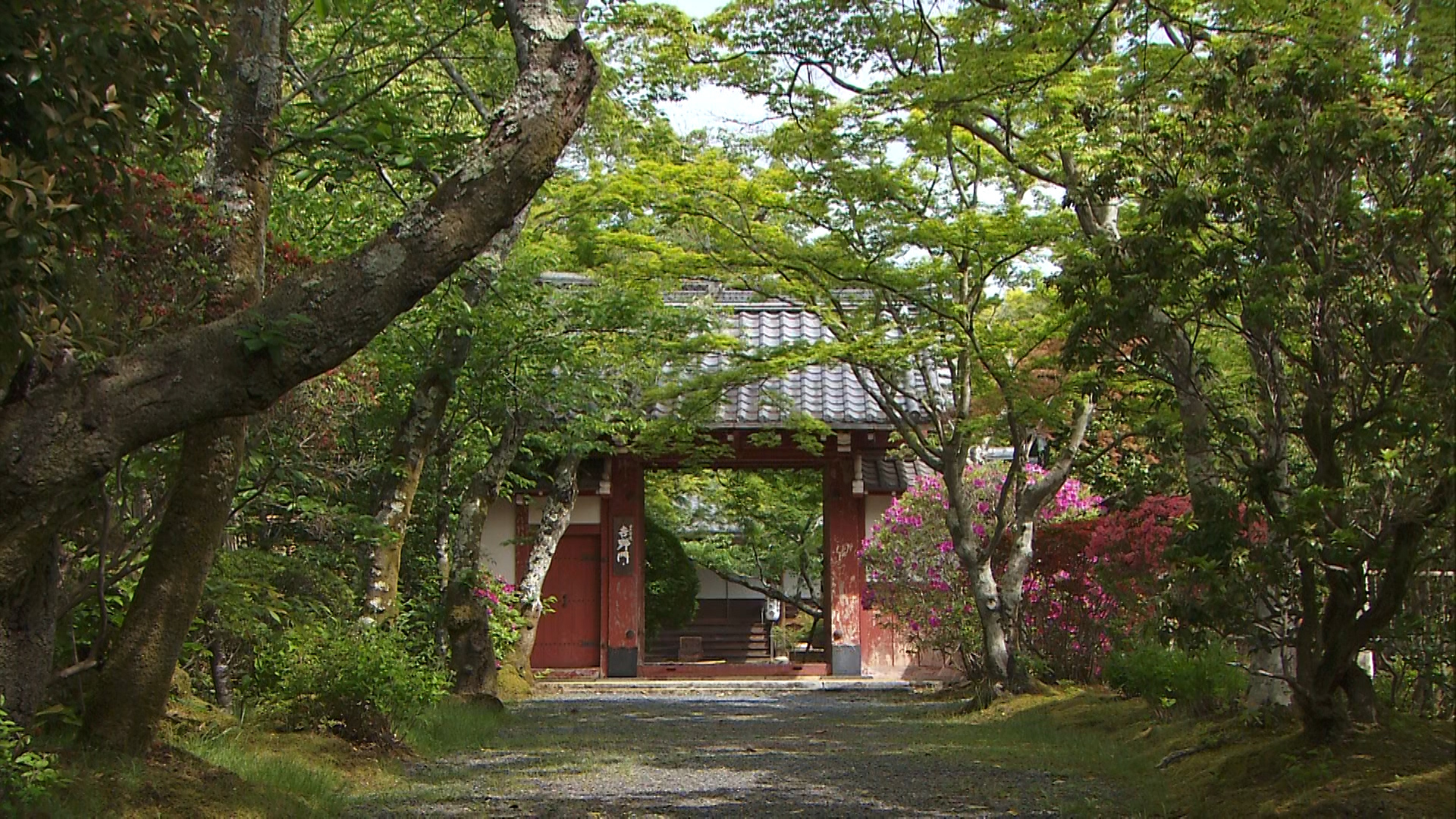 新緑に想いを馳せる京の女性たち 京都の特等席