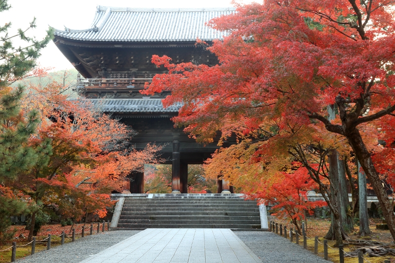 秋の南禅寺・永観堂エリアの魅力に迫る 前編 - 京都の特等席