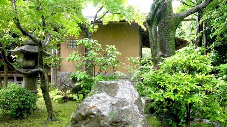 歴史的な名建築を巡る - 京都の特等席